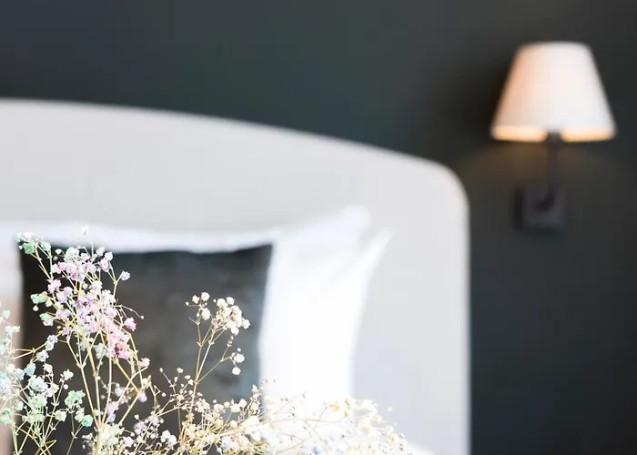 Des Brasseurs De Haan